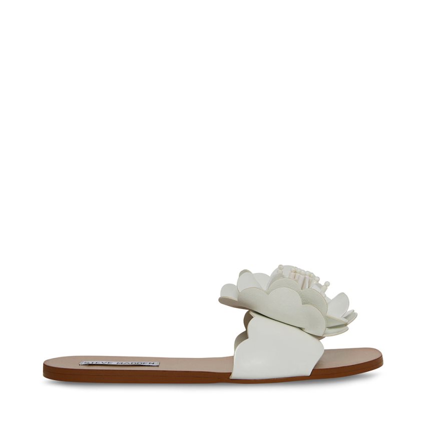 White Steve Madden Chelsea Women's Flat Sandals | PH 4812OKG